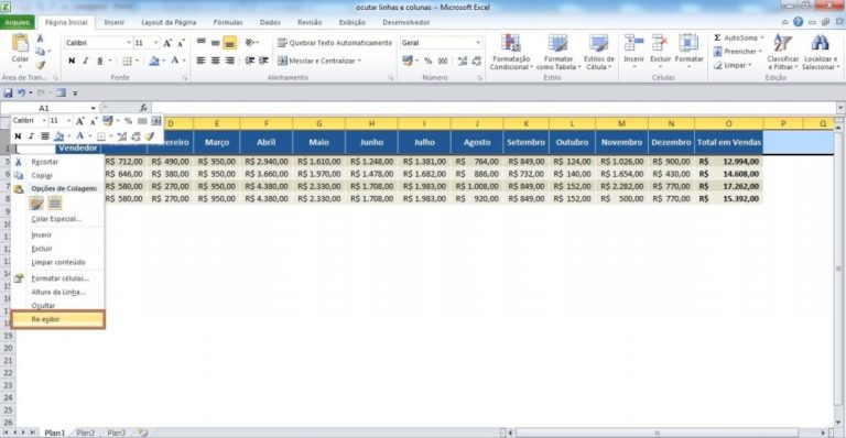 Ocultando linhas e colunas no Excel