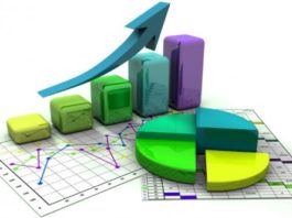 Projeção Financeira - Relatórios e gráficos