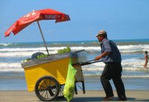 Empreendedor Informal - Vendedor Ambulante de Praia