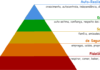 Pirâmide de Maslow: Entenda a Hierarquia das Necessidades Humanas