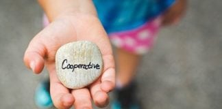 O que é uma cooperativa, como criar e gerir uma?