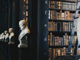 Consultoria jurídica: biblioteca com esculturas de estilo greco-romano